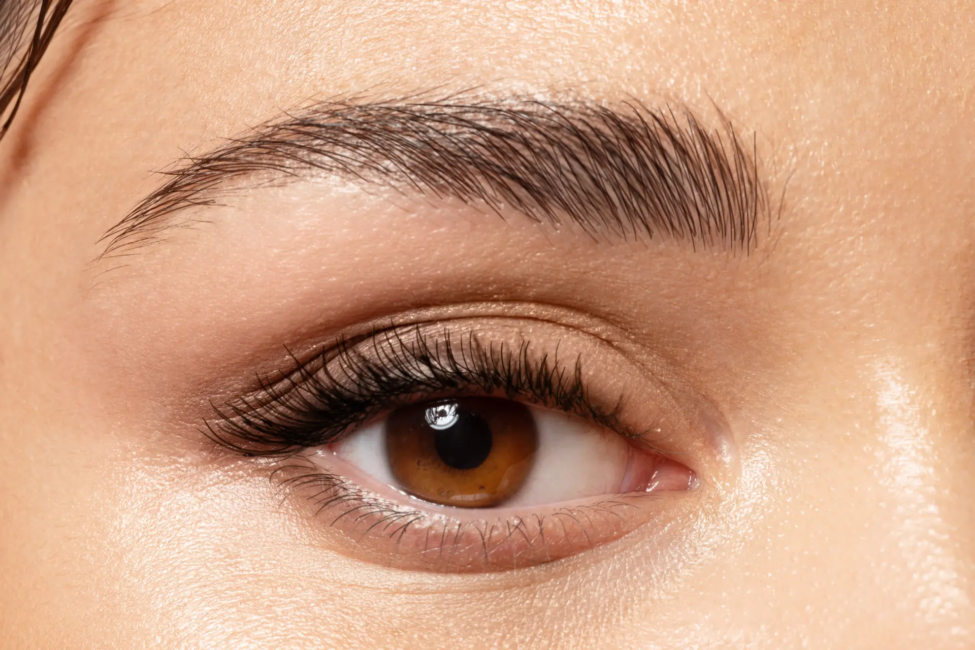 Brow Tinting in Rockhampton